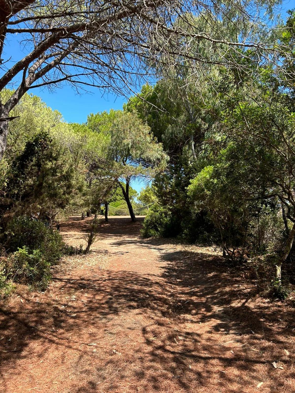 Hotel Cala Mirto Budoni Bagian luar foto